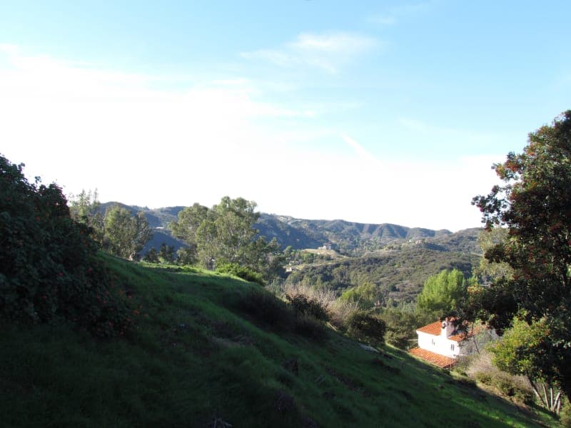 Tracy and Hepburn view from the west bedroom window