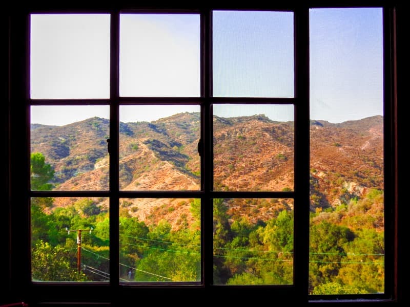 Me Tarzan, You Jane Room north view