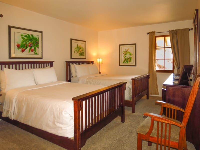 Tracy & Hepburn Room interior features two beds